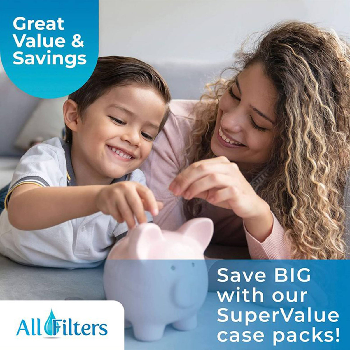 20x4.5 20 Micron GAC Water Filter Cartridge (4 Pack) X22761