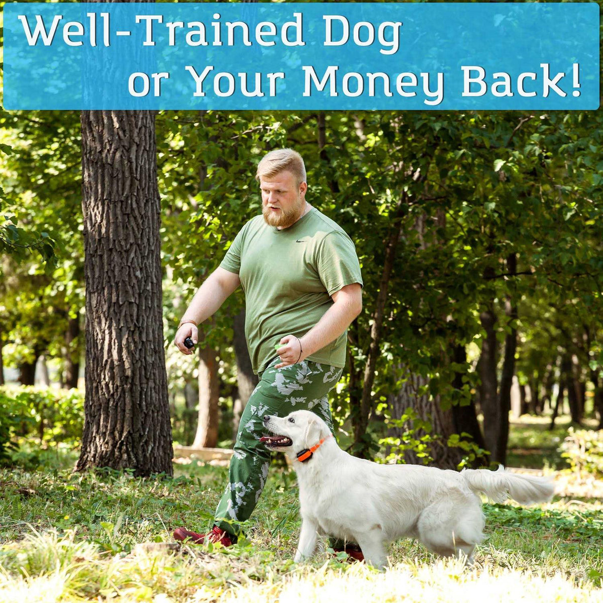 Remote Dog Training Collar R240871