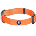 Classic Dog Collar V909306