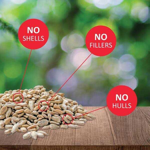 Sunflower Kernels Pet Supplies K3929