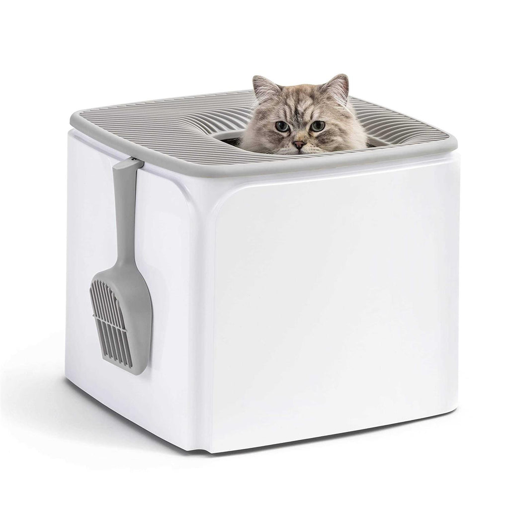 Square Top Entry Cat Litter Box with Scoop S41222