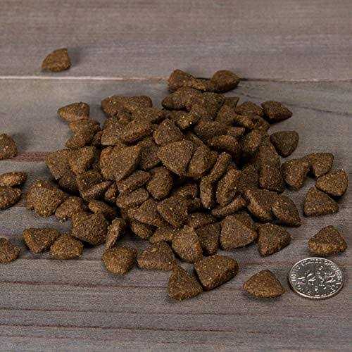 Grain-Free Trout & Sweet Potato Dry Dog Food J932