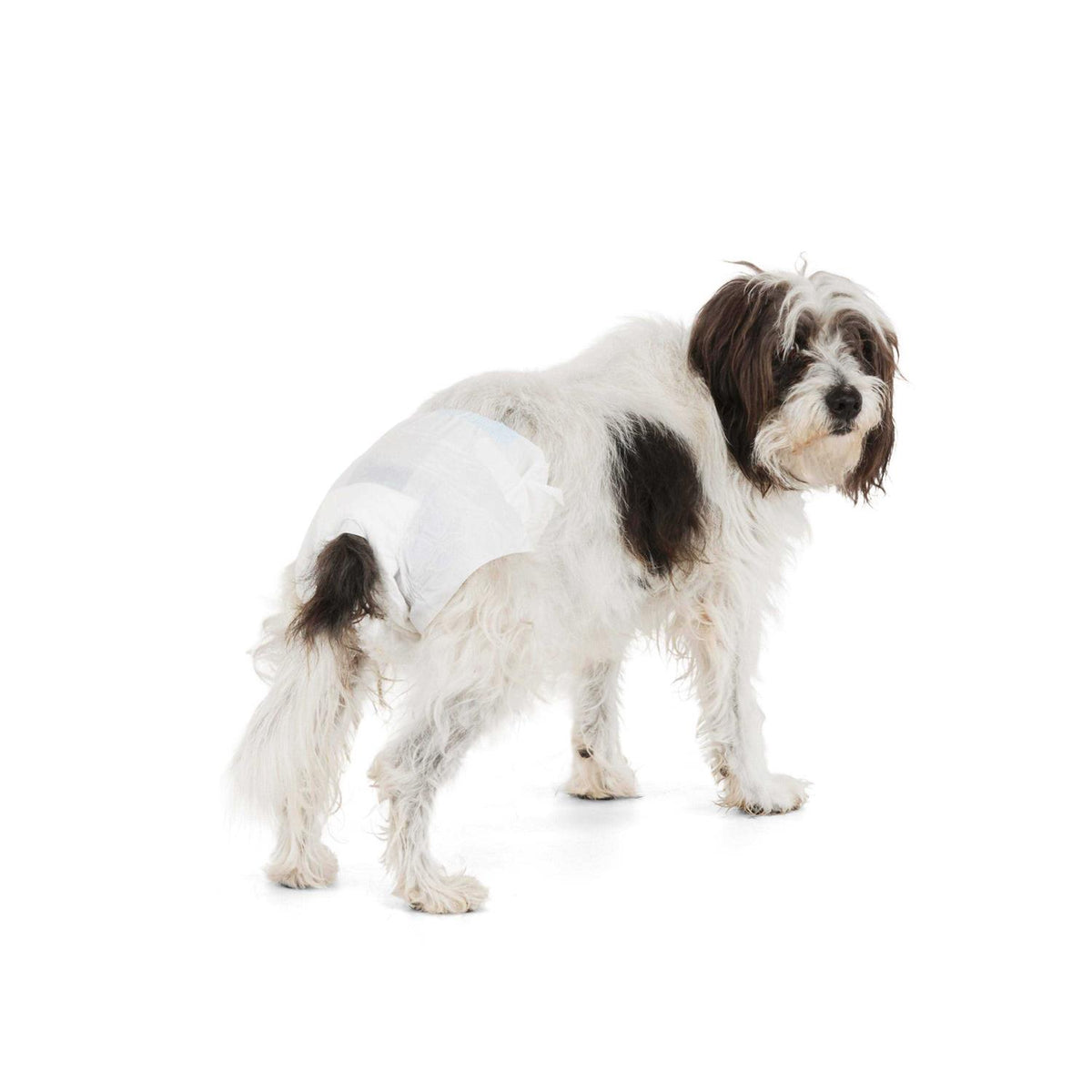 Disposable Pet Diapers Y7694