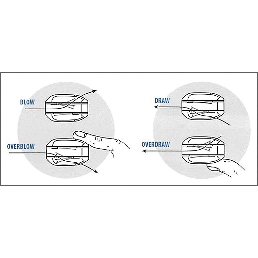 Harmonica E438873