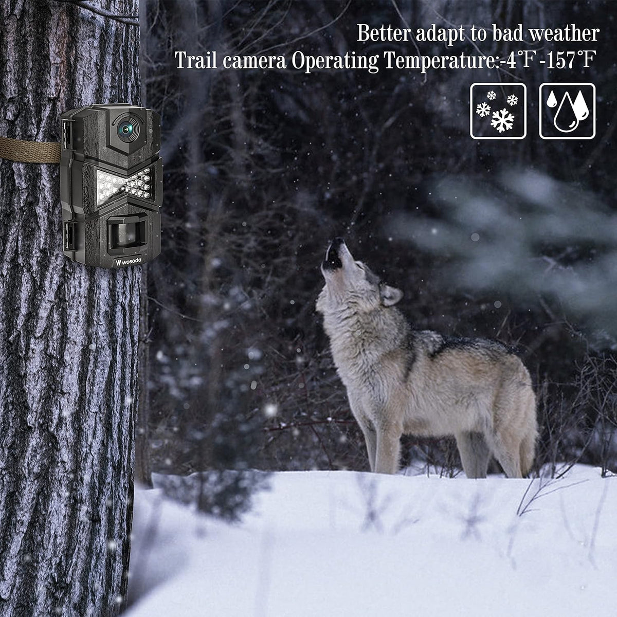 16MP 1080P 2 Pack Trail Camera with Night Vision Wildlife Camera P45676