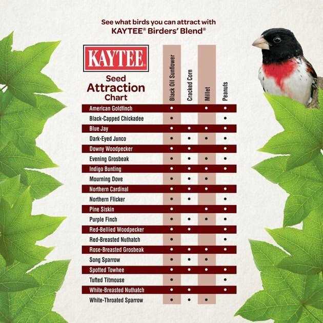 Birders Blend Wild Bird Food Y143