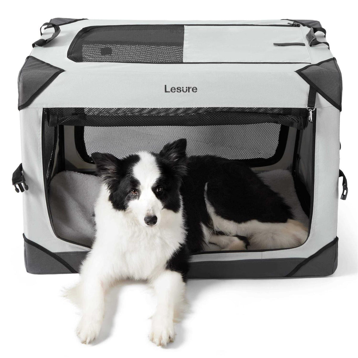 Collapsible Dog Crate V21404