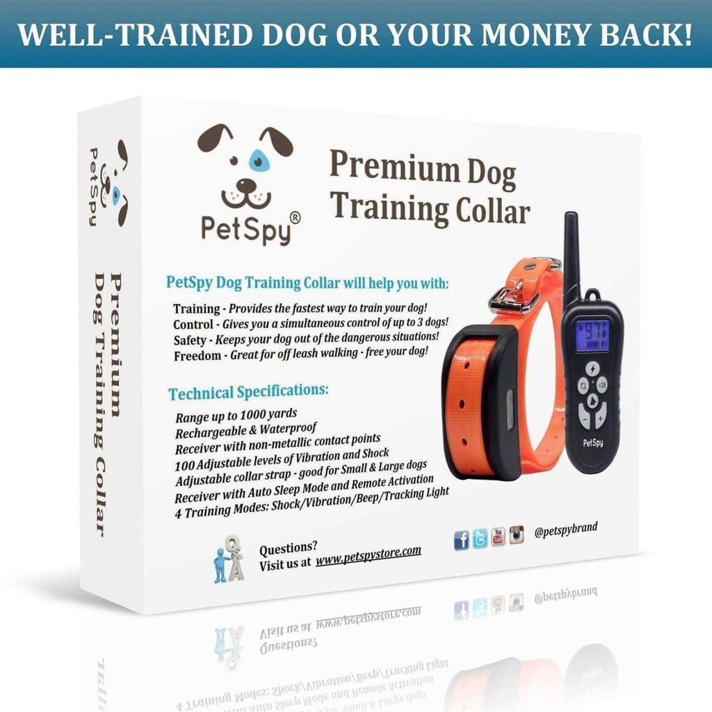 Remote Dog Training Collar R240871