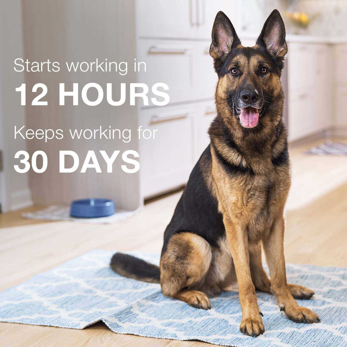 Advantage II for Dogs 3 X6761