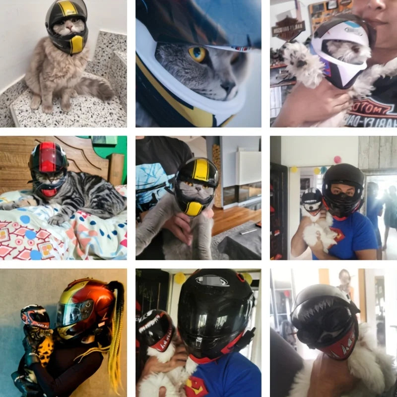 Small Pet Motorcycle Helmet Cat Mini Helmets T95003