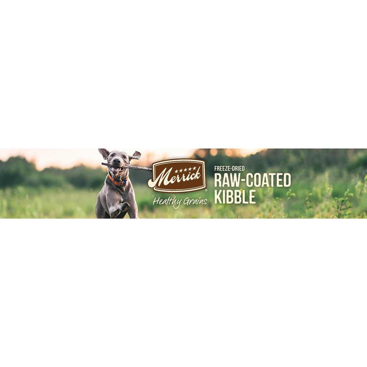 Healthy Grains Freeze Dried Raw Coated Dry Dog Food G730