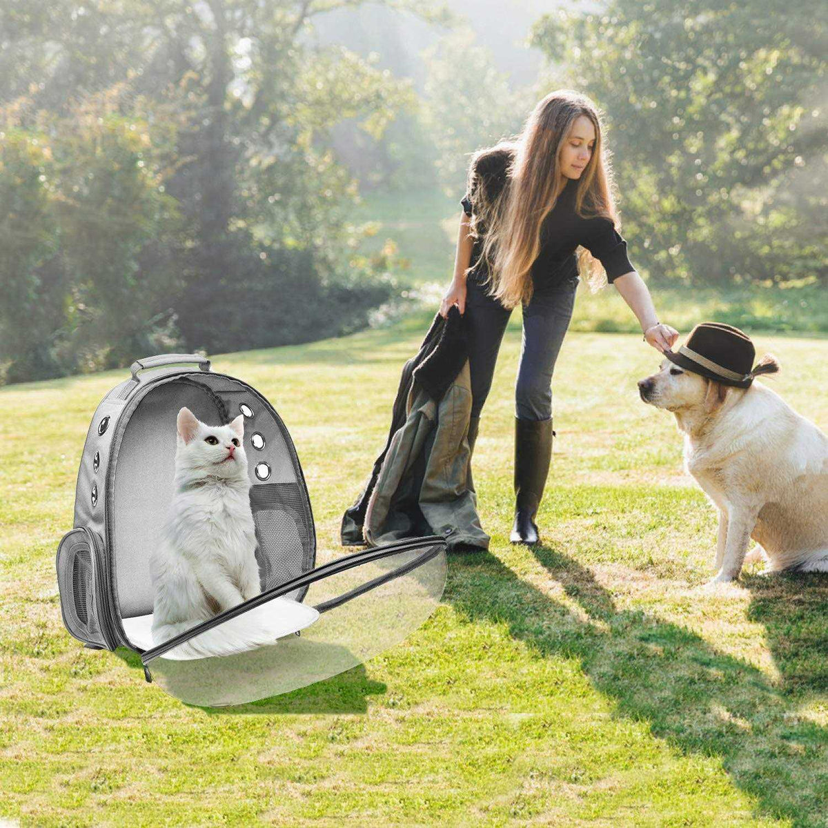 Bubble Carrying Bag for Small Medium Dogs Cats K415