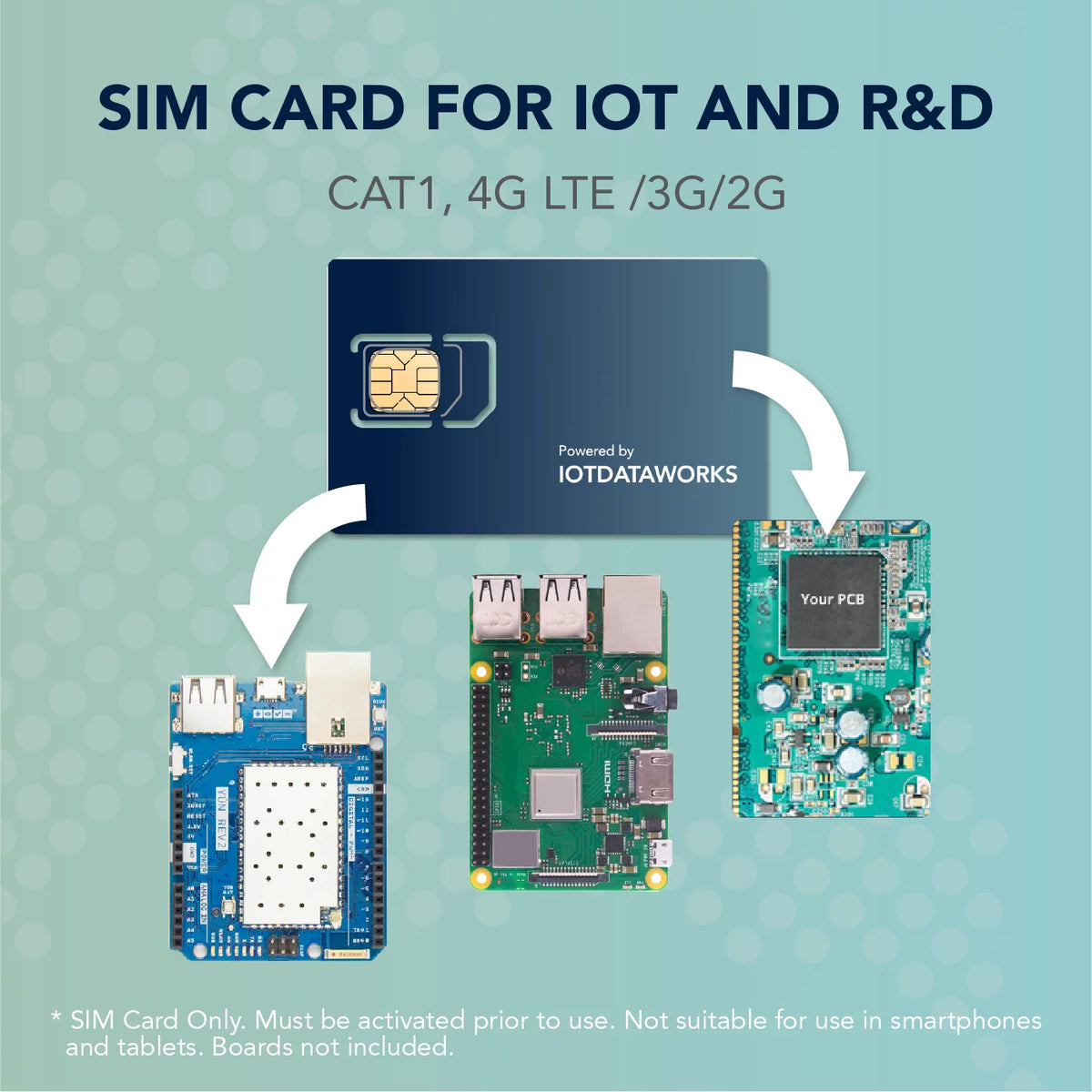 Unlimited IoT SIM Card with 12-Month Service S245174