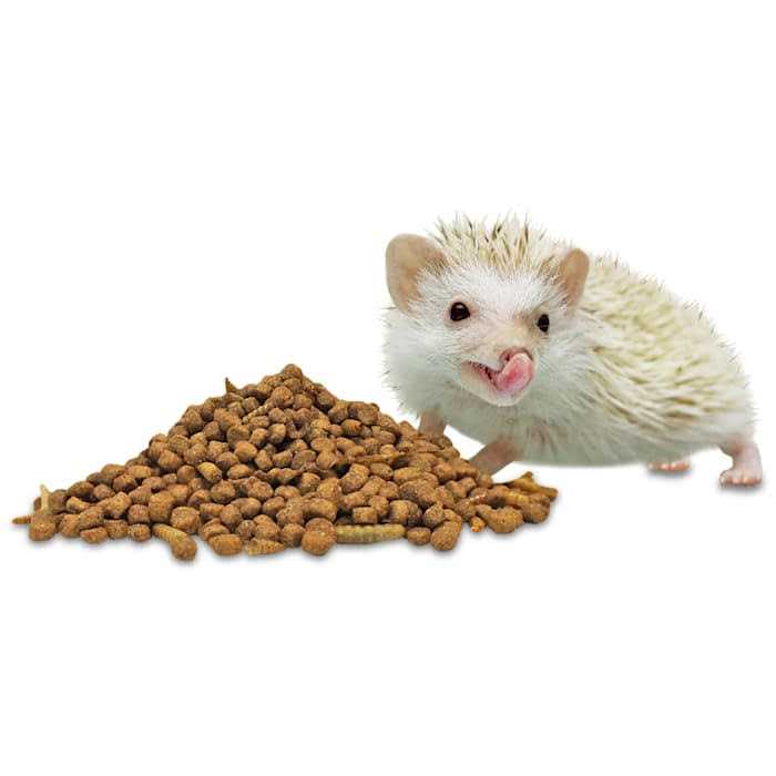 Hedgehog Essential W9483